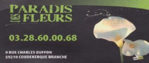 Au Paradis Des Fleurs